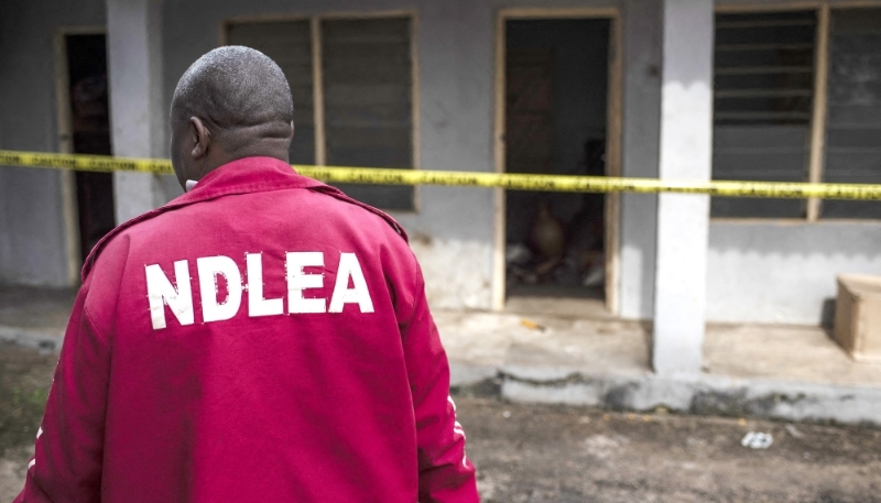 Un agent de la NDLEA mène des investigations dans un laboratoire clandestin de méthamphétamine à Obinugwu, dans le sud-est du Nigeria, le 22 novembre 2018.