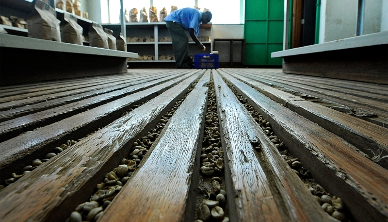 Une usine du secteur du café, à Nairobi, en 2011.