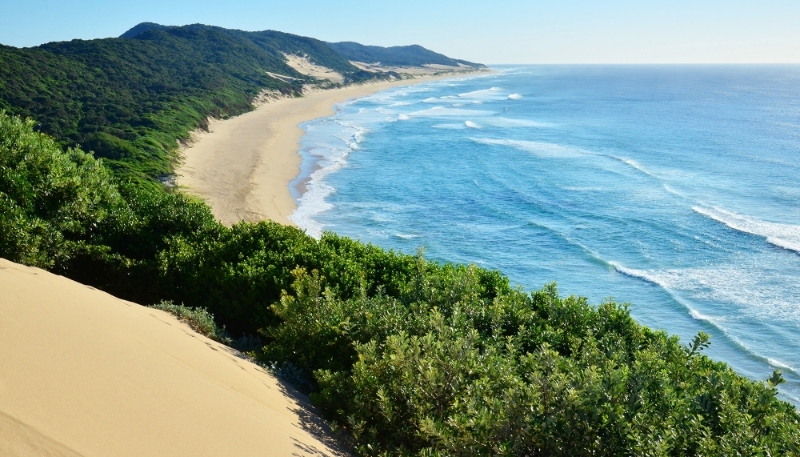 Des dunes de sable de la province du Kwazulu-Natal, près de Richards Bay, en Afrique du Sud.