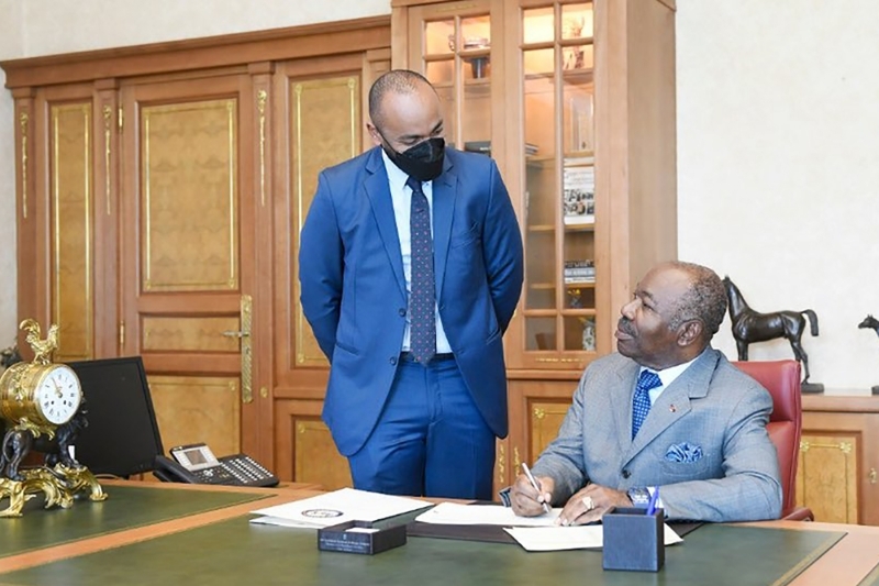 Nourredin Bongo et Ali Bongo.